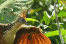 Sandoval Lake 4D3N Tours