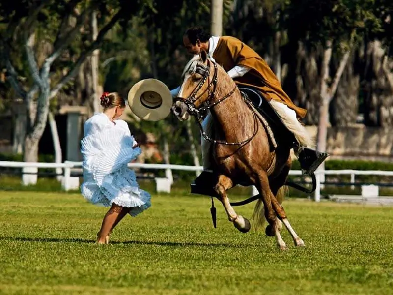 Tour of Pachacamac, thematic restaurant, Peruvian paso horses.